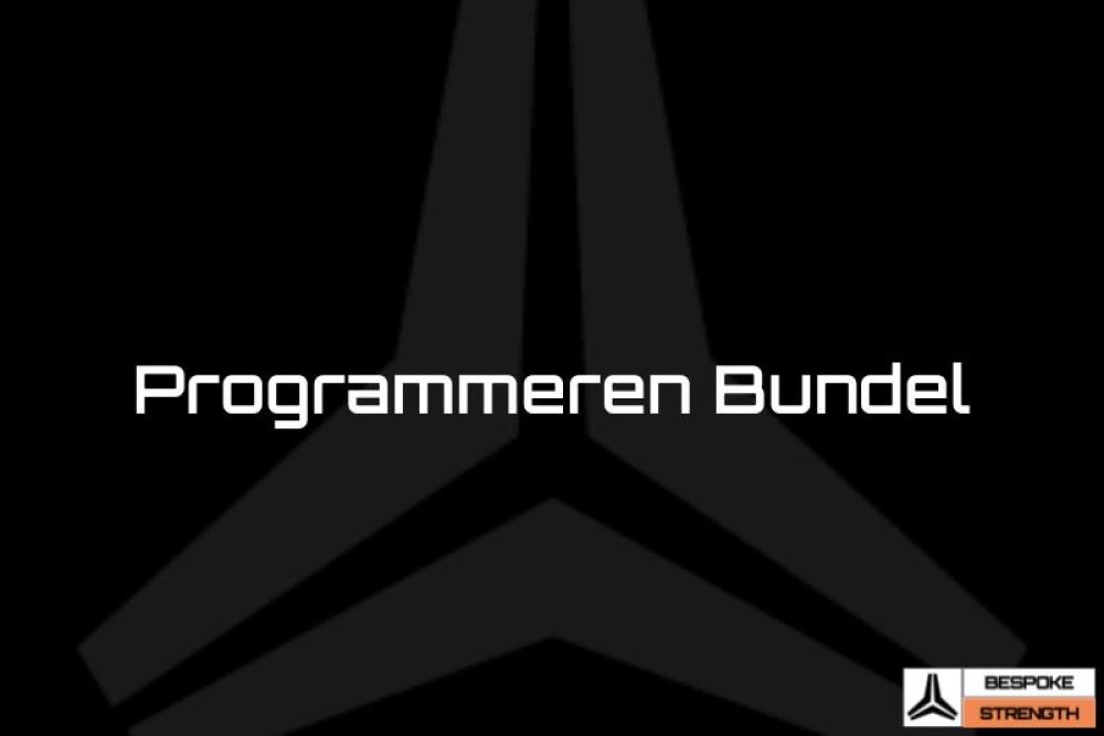 Programmeren Bundel